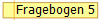 Fragebogen 4